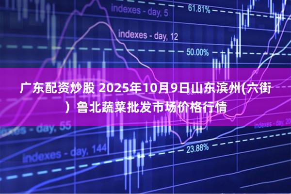 广东配资炒股 2025年10月9日山东滨州(六街）鲁北蔬菜批发市场价格行情