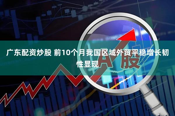 广东配资炒股 前10个月我国区域外贸平稳增长韧性显现